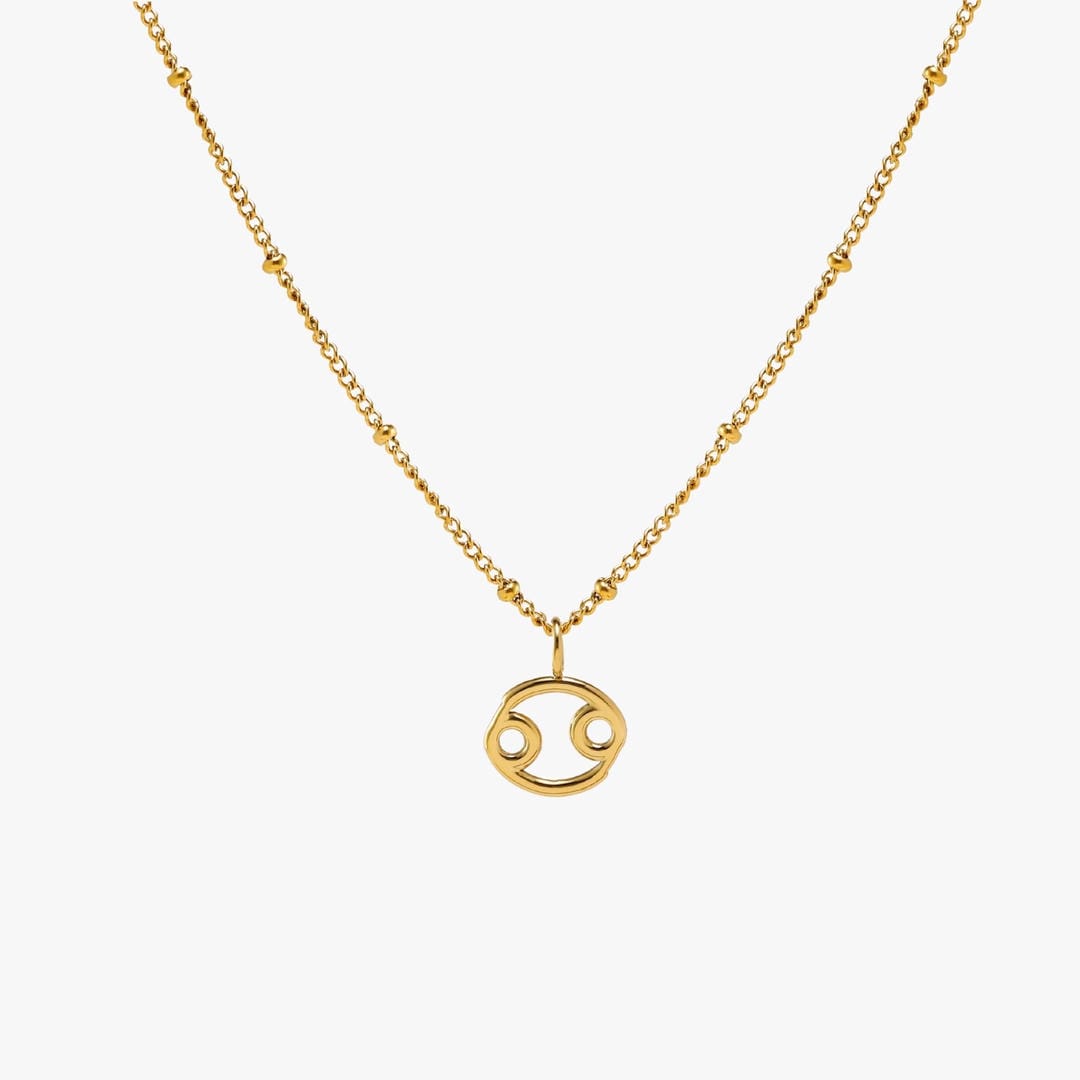Zodiac Harmony Charm Necklace